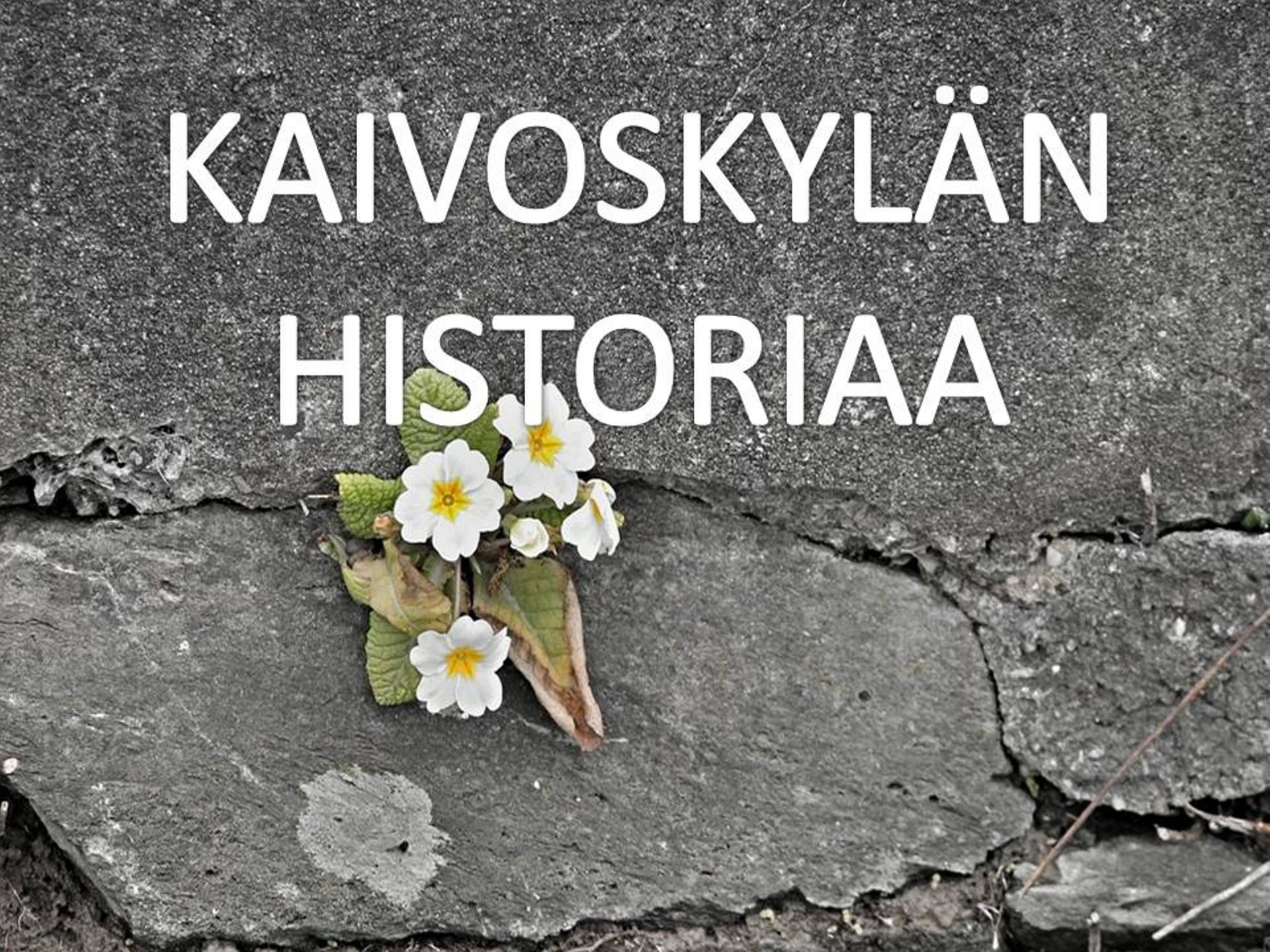 Lampinsaari lampinsaari